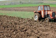 Во тек се вкупно четири јавни повици за давање во закуп на земјоделско земјиште во државна сопственост