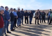 Лозарите ги добија субвенциите пред почеток на овогодинешната реколта