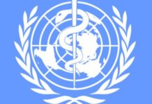 СЗО: Коронавирусот можно е да го пренеле јазовци и зајаци од пазарот во Вухан