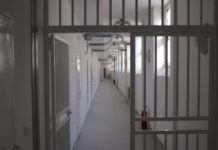 Приведен кумановец баран со потерница