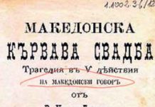 Јоци до Бишевац: Нашиот јазик е македонски за навек во ОН со “Преспански”