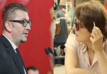 Јоци: Мице Грујов Велики, тебе ти останува да му објасниш на македонскиов народ како да го сварат во експрес-лонец ,,Воинот на коњ” од 8 милиони евра