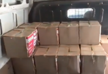 Заеви со нови 700 пакети во прехранбени продукти за најпогодените општини, Куманово и Дебар