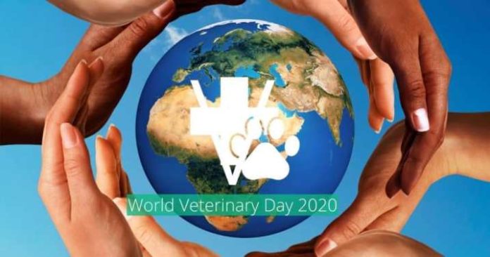 World-Veterinary-Day-2020-1024x538-1