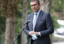 Зелениот пазар на Мицкоски