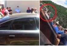 (ФОТО) Христоски: Дали вработен во шумска полиција си тера партиска кампања во работно време со дозвола на Трипуноски?
