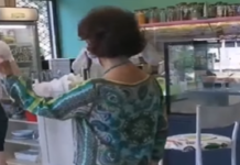 (ВИДЕО ПАРОДИЈА) Силјановска игра на ВМРО-МВРО