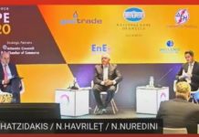 Нуредини: Императив е инвестирањето во зелена и одржлива енергија