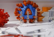 Новиот британски сој на коронавирусот не е детектиран според последните анализи на МАНУ