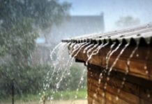Денеска сончево и топло, еве за каде има најави за дожд