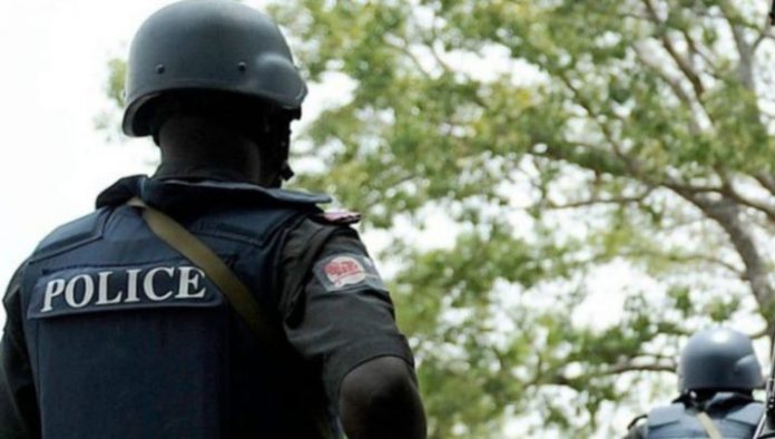 Nigeri-a-polici-a-780x470