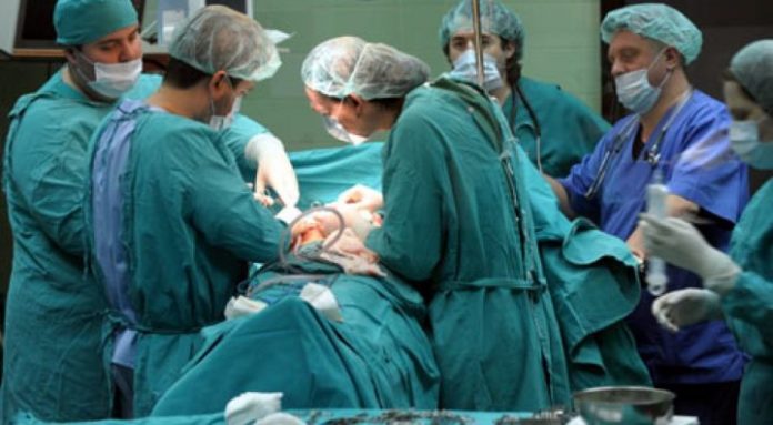 Transplantaci-a