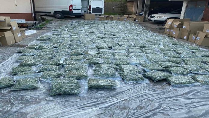 droga mvr zaplena