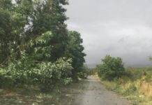 Во четврток големо невреме – Попоски најавува вистинска зима