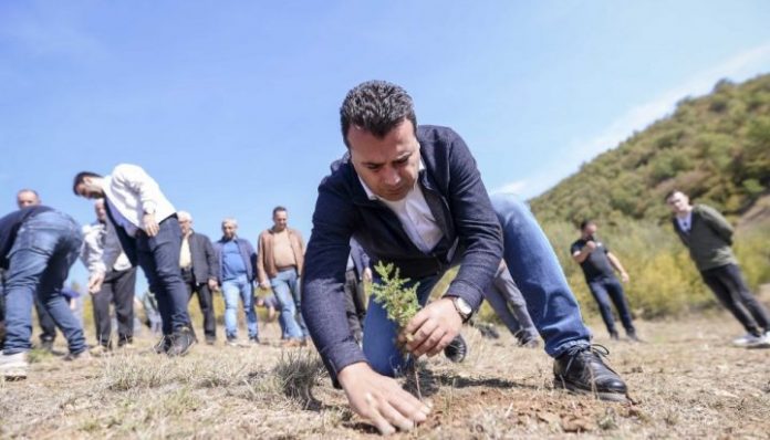 Zaev11