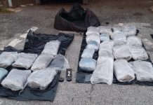 (ВИДЕО) Пресечен меѓународен канал за транспорт на дрога од Албанија во вкупна вредност од околу 300.000 евра