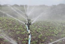 Дополнителен рок за аплицирање за набавка на системи за наводнување, за инвестиции во бунари и зафати на површински води