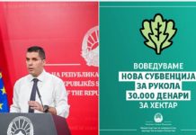 За прв пат се воведува субвенционирање на одгледување на рукола