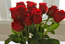 Денеска се одбележува 8-ми март – Меѓународниот ден на жената