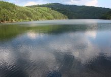 20-годишно момче пронајдено починато во Охридското Езеро