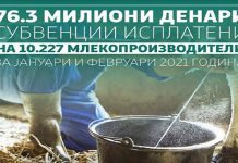 МЗШВ: Кон 10.277 млекопроизводители исплатени 76.3 милиони денари поддршка за предадено млеко во првите два месеци од 2021 година
