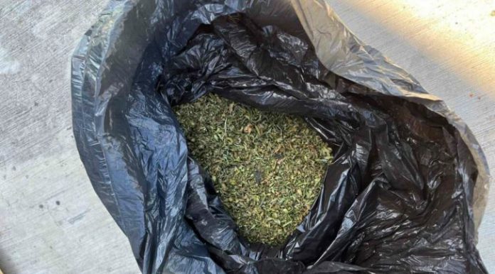 marihuana