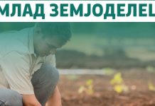 МЗШВ: Ги поддржуваме младите – Започнуваме со авансна исплата од 40% на грантот за млад земјоделец