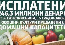 МЗШВ: Исплатени 246,3 милиони денари дополнителни директни плаќања на 4.120 корисници за градинарски и овошни култури предадени во преработувачки капацитети