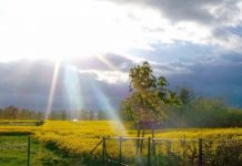 Пред нас е лето во кое ќе има пекол и горештини, но и временски непогоди