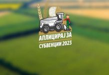 Повик до земјоделците да аплицираат за субвенции по обработлива земјоделска површина за одржување на постоечки лозови насади