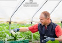 МЗШВ: Од 2017 година до денес 838 млади земјоделци добиле финансиска поддршка за мерката – Млад земјоделец