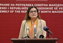 Со предлог на СДСМ за укинување на ДДВ ќе поевтинат над 250 категории на производи, тврди Тренчевска