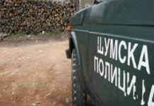 Шумски полицаец нападнат со моторна пила