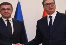 Вучиќ и Мицко губат контакт со реалноста кога „Иде Дунав“ на улиците