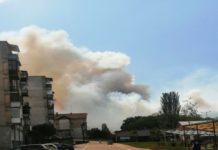 АПЕЛ ОД ОПШТИНА КРИВА ПАЛАНКА – Сериозни пожари кои се шират со голема брзина