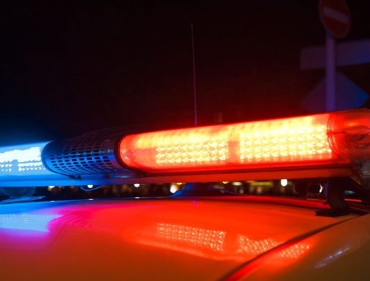 Полицијата со детали за ТРОЈНОТО УБИСТВО ВО ПРИЛЕП – настрада и дете