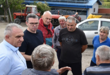 НАД 20 МИЛИОНИ КИЛОГРАМИ ГРОЗЈЕ Е ОСТАВЕНО ДА СКАПУВА – „Сѐ ќе било откупено“, а на терен хаос – реагира СДСМ Кавадарци