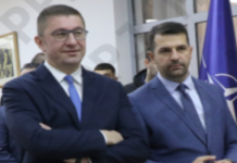 НОВ СКАНДАЛ ПОВРЗАН СО ВИСОК ФУНКЦИОНЕР НА ВЛАСТА Фамилијарна фирма на директорот на СОЗР добила 161 ТЕНДЕР и инкасирала над 5 МИЛИОНИ ЕВРА?