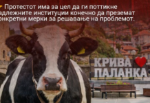 Денеска протест во Крива Паланка поради кравите