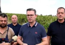 НАЈНОВ СКАНДАЛ – Земјоделците се без пари затоа што криминалците во власта ги крадат, велат од СДСМ