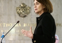 Нејнски: Македонската Влада прави обиди за да го заобиколи францускиот предлог, но го губат времето на сопствените граѓани