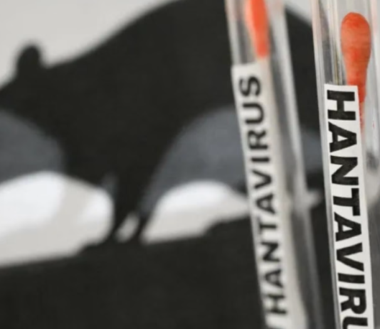 Има ли ризик од хантавирус? Заседаваше Комисијата за заразни болести