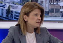 Лукаревска: Не го прифатија законот за двојни државјанства, затоа што пола влада им е со бугарски пасоши