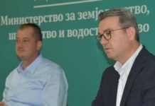 ДИРЕКТОРОТ НА ДИЗ Е УАПСЕН СО 50.000 ЕВРА ВО ГАРАЖАТА КОЈА ВОДИ КОН СТАНОТ НА ТРИПУНОВСКИ? Петровска со “незгодно” прашање до Тошковски